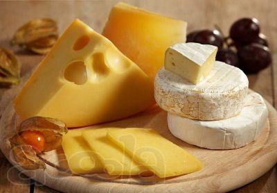 Семинар по производству сыров